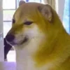 😐 Эмодзи «Shibainydogefb» для Telegram