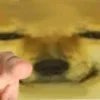 🫵 Эмодзи «Shibainydogefb» для Telegram