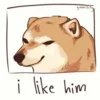 😘 Эмодзи «Shibainydogefb» для Telegram