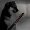 💀 Эмодзи «Shibainydogefb» для Telegram