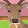 🦌 Эмодзи «Shikanoko Nokonoko Koshitantan» для Telegram