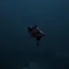 🦋 Эмодзи «Shinobu Kocho» для Telegram