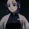 🦋 Эмодзи «Shinobu Kocho» для Telegram