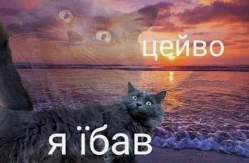 👀 Стикер «Шось дивне ч3» для Telegram