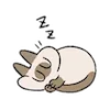 😪 Эмодзи «Siamese Cat Lil» для Telegram