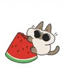 🍉 Эмодзи «Siamese Cat Live» для Telegram