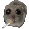 🚬 Эмодзи «Грустный Хомяк» для Telegram
