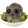 🥗 Эмодзи «Грустный Хомяк» для Telegram