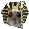 🐫 Эмодзи «Грустный Хомяк» для Telegram