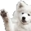 🐶 Эмодзи «Order emoji #cute #color #white» для Telegram