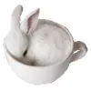 🐰 Эмодзи «Order emoji #cute #color #white» для Telegram