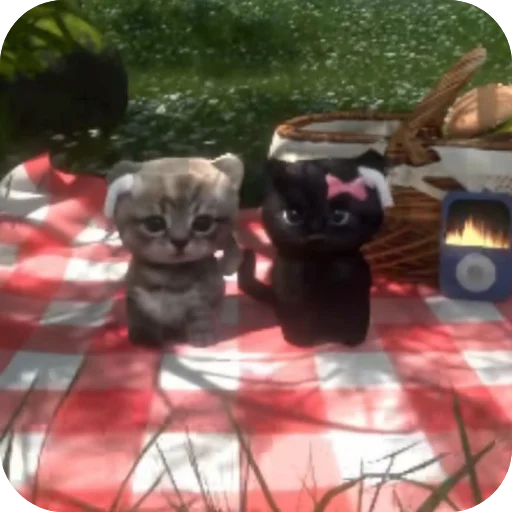 🐱 Стикер «Лунька» для Telegram