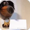 🤬 Эмодзи «Скебоб» для Telegram