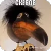 🥳 Эмодзи «Скебоб» для Telegram