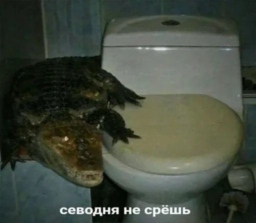 🤩 Стикер «Скибиди свиногул» для Telegram