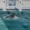 🌊 Эмодзи «Smaev» для Telegram