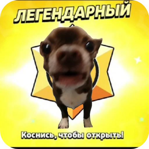 🔥 Стикер «Sobaka3000» для Telegram