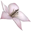 Стикерпак ིྀ†Soft pink†ིྀ ⟣ ⟢ ༉ для Telegram
