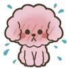 ♨️ Эмодзи «Poodle» для Telegram
