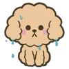 💦 Эмодзи «Poodle» для Telegram