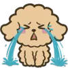 😭 Эмодзи «Poodle» для Telegram