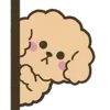 🐶 Эмодзи «Poodle» для Telegram
