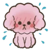🥵 Эмодзи «Soft poodle» для Telegram