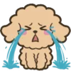 😭 Эмодзи «Soft poodle» для Telegram