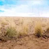 😵‍💫 Эмодзи «Better Call Saul» для Telegram