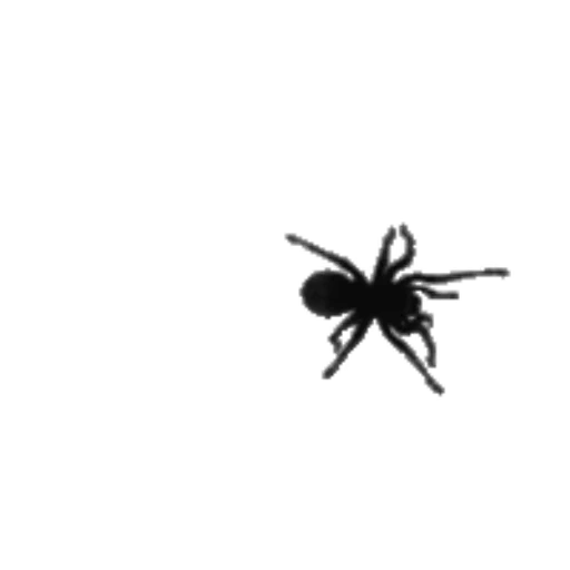 🕷 Стикер «Пауки» для Telegram