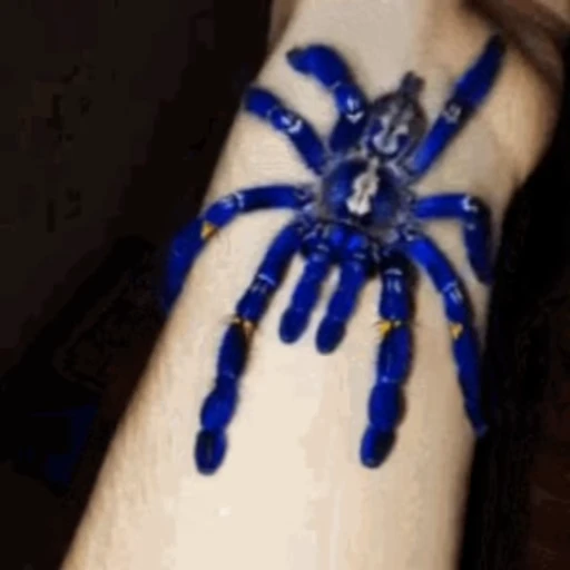 🕷 Стикер «Пауки» для Telegram