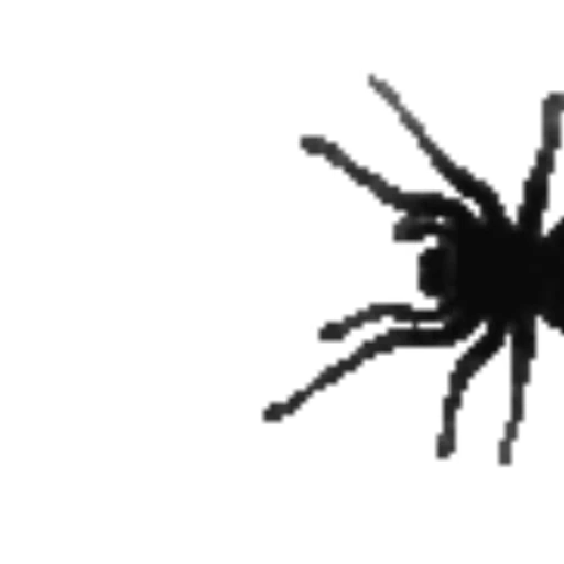 🕷 Стикер «Пауки» для Telegram