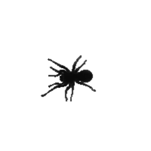 🕷 Стикер «Пауки» для Telegram