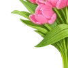 🌷 Эмодзи «Spring Woman» для Telegram