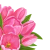 🌷 Эмодзи «Spring Woman» для Telegram
