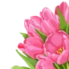 Эмодзи Spring Woman для Telegram — скачать
