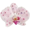💗 Эмодзи «Spring Dreams» для Telegram