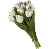 💗 Эмодзи «Spring Dreams» для Telegram