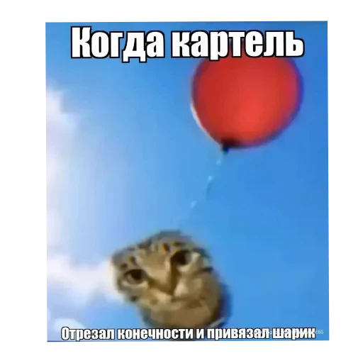 🖼 Стикер «Wrenesseuse dreams епта» для Telegram