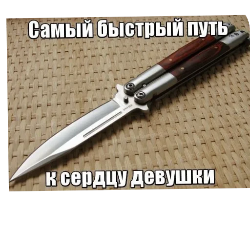 🤘 Стикер «Wrenesseuse dreams епта» для Telegram