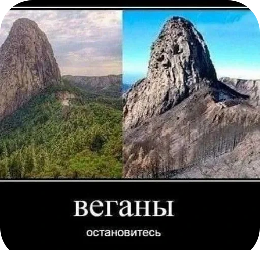Стикерпак Wrenesseuse dreams епта для Telegram