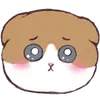 🥺 Эмодзи «❤ Cats - котики» для Telegram
