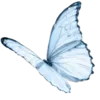 🦋 Эмодзи «Blue #color #blue #cute #girl» для Telegram