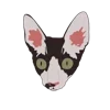 🐱 Эмодзи «» для Telegram