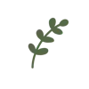 🌿 Эмодзи «» для Telegram