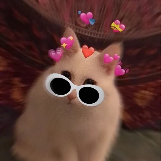 😎 Стикер «Stupid Cattos» для Telegram