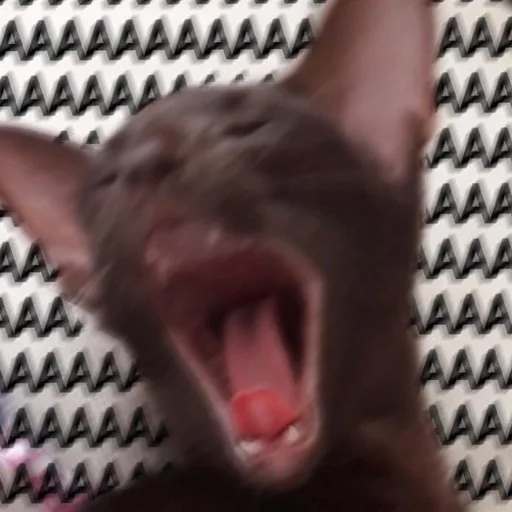 😭 Стикер «Stupid Cattos» для Telegram
