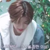 🗯️ Эмодзи «🗯 Stray Kids» для Telegram