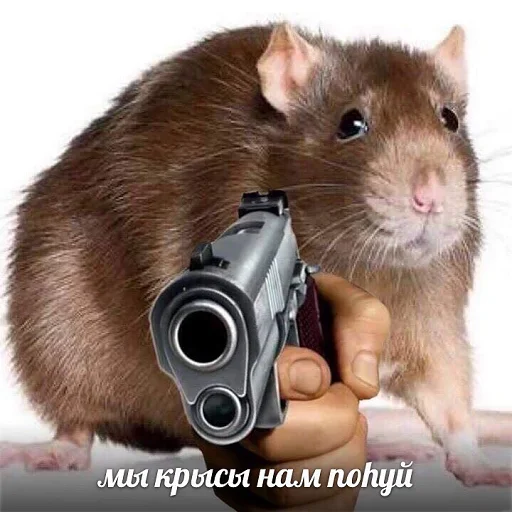 🔫 Стикер «Один стикер» для Telegram