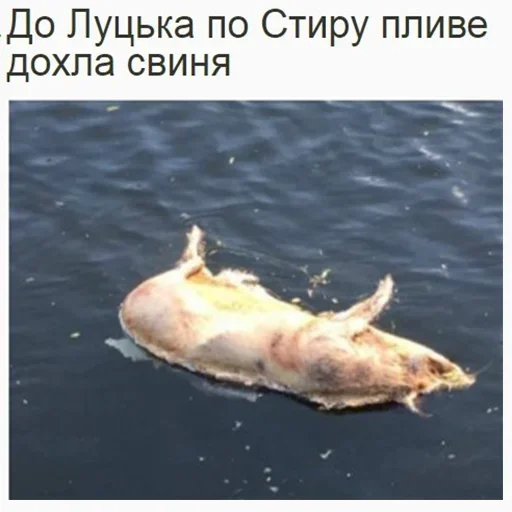 ⚰ Стикер «Один стикер» для Telegram